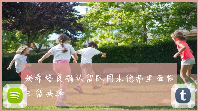 姆希塔良确认留队国米德弗里面临去留抉择