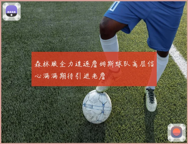 森林狼全力追逐詹姆斯球队高层信心满满期待引进老詹