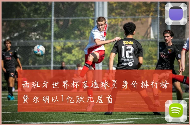 西班牙世界杯落选球员身价排行榜费尔明以1亿欧元居首