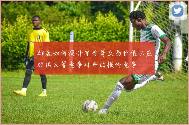 雄鹿如何提升字母哥交易价值以应对热火等竞争对手的报价竞争